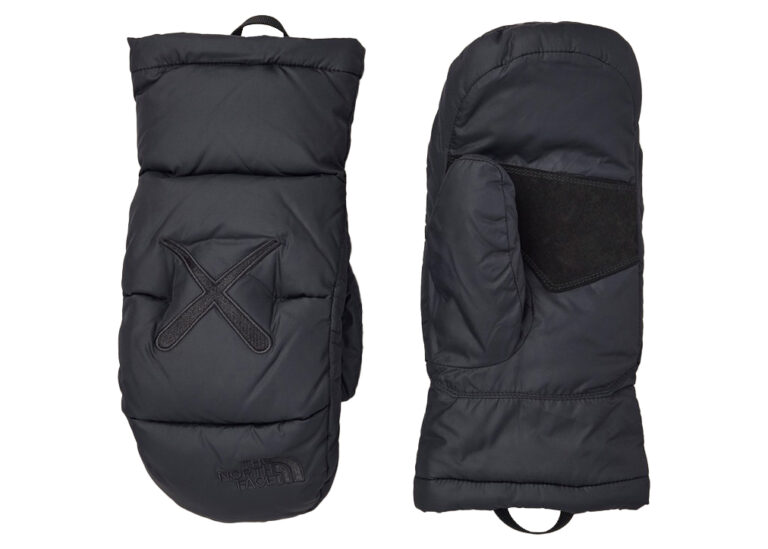 the north face kaws gloves